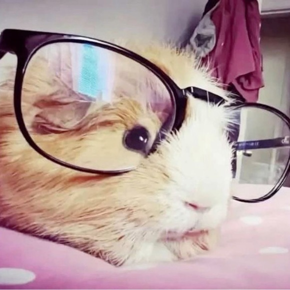 mathcassie